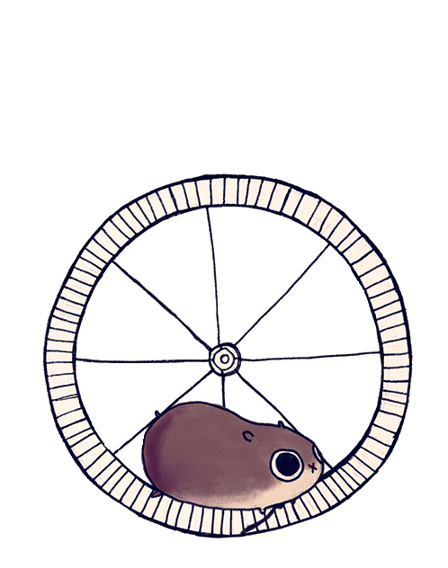 hamster wheel gif